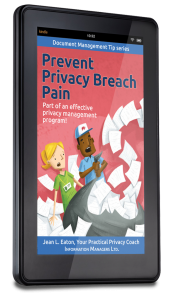Coming soon on Kindle! Prevent Privacy Breach Pain